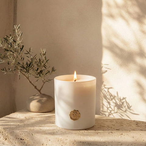 Duo Envolvente COAH Collection Nº 01 - Vela + Home Spray - Coala